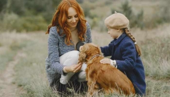 L'enfant et le chien - Prévention des accidents par morsure 