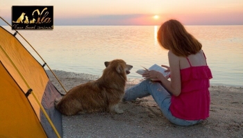 Partir en camping avec votre chien 