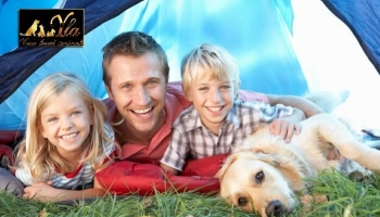 En camping avec votre chien : êtes-vous prêts ?