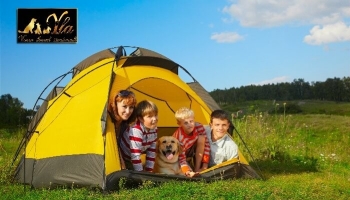 En camping avec votre chien pour la première fois