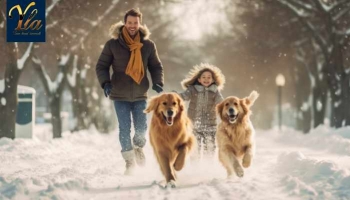 Protéger et Renforcer les Coussinets de Votre Chien en Hiver