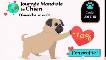 Journée mondiale du chien 