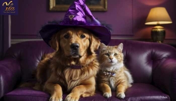 Fête d’halloween avec vos animaux de compagnie