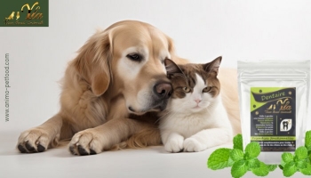 Friandises dentaires pour chiens et chats