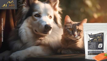 Peau et Pelage : Friandises fonctionnelles pour chien et chat