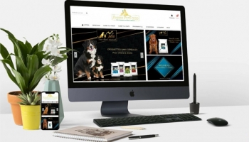  Le nouveau site internet d’animo PetFood est en ligne ! 