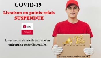 Mise à jour de nos options de livraison - COVID-19