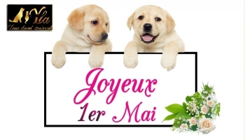 Animo PetFood vous souhaite un Joyeux 1 er mai !