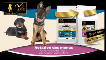 Menus sans céréales par rotation pour chiot 