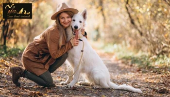 Les avantages nutritionnels de la viande de canard pour la santé des chiens