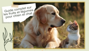 Les fruits et les légumes pour chien et chat