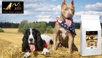 Croquettes dinde et cranberry sans céréale hypoallergéniques pour chien