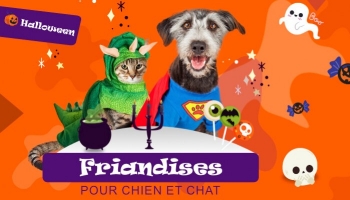 Friandises pour chien et chat