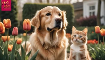 L’empoisonnement par les tulipes chez les chiens et les chats