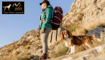 Randonnée de longue distance avec votre chien