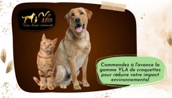 Démarche éco-responsable : Commandez à l'avance les croquettes pour votre animal