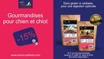 Friandises pour chien et chiot : Délicieuses et nutritives !