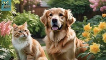 Le Chèvrefeuille : Un Risque Toxique pour les Chiens et les Chats