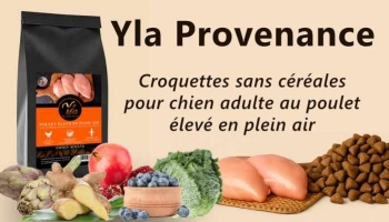 Croquettes naturelles pour chien adulte – Sans céréales & poulet plein air