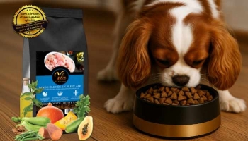 Croquettes à la dinde pour chien de petite race – Naturelles et sans céréales