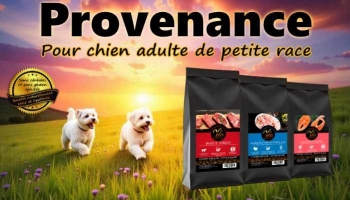NOUVEAU : Provenance – Croquettes sans céréales pour chiens de petite taille