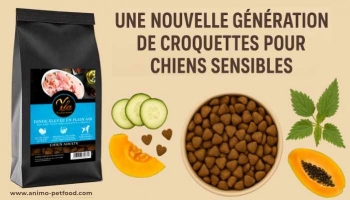 YLA Provenance Dinde : la croquette sans céréales pour chien adulte sensible