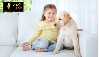 Accueillir un chiot - Papa et maman, peut-on avoir un chiot ?